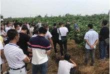 仁寿县2019年新型职业农民培育学员外县参观考察