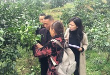 丹棱县新型职业农民（水果种植）培训班开展后续跟踪服务