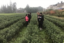 洪雅县2019年新型职业农民培育跟踪服务
